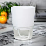 Zelfbewaterende Plantenpot – AquaBloom