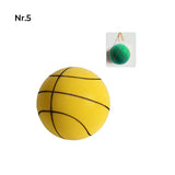 Stille Basketball voor Kinderen Binnen