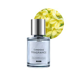 Luxe Geurverspreider voor een Frisse Auto - AromaDrive