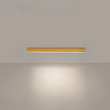 Stylight LED – Minimalistische plafondlamp in Scandinavisch design met krachtige verlichting