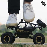 Ultieme 4x4 RC Monster Truck