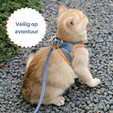 Kattentuigje Oscar - Veilig en Comfortabel | Verstelbare Maten