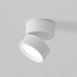 Moderne verstelbare LED plafondlamp