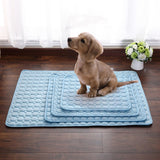 Koelmat voor Honden | Houdt Je Hond Koel & Comfortabel Hele Zomer