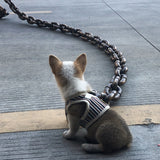 Coole en Grappige Hondenriem - PawChic