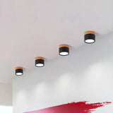 Noordse Cilinder LED Plafondlamp – Minimalistische Inbouwlamp voor Moderne Gangen
