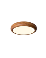 De Cirkel van Licht