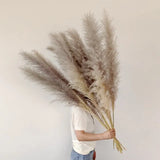 Bohemian Pampas Pluimen - Stijlvolle Natuurlijke Decoratie