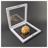 Levitate | Til je canvas op in het 3D zwevende frame!