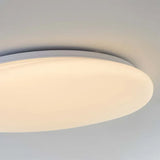 Organische LED Plafondlamp Natuurlijke Steen Vorm