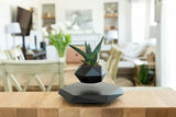 Zwevende plantenhouder met magnetische levitatie - Liva