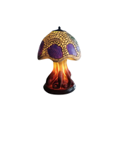 De Fungi Licht