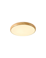 De Cirkel van Licht