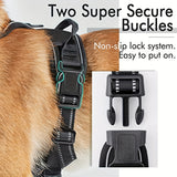 Reflecterend Hondenharnas met Leash Set - Verstelbaar en Veilig voor Wandelen en Training