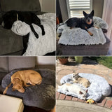 Pluche Hondenbed met Afneembare Wasbare Hoes - Zacht en Multifunctioneel Slaapmat voor Grote, Middelgrote en Kleine Honden
