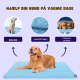 Koelmat voor Honden | Houdt Je Hond Koel & Comfortabel Hele Zomer