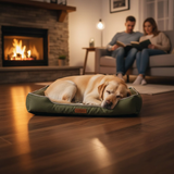 PetLounge | Hondenbed – Ergonomisch Ontwerp voor Gezonde Slaap