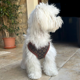 Hondentuig en Leinen-Set – PawLuxe