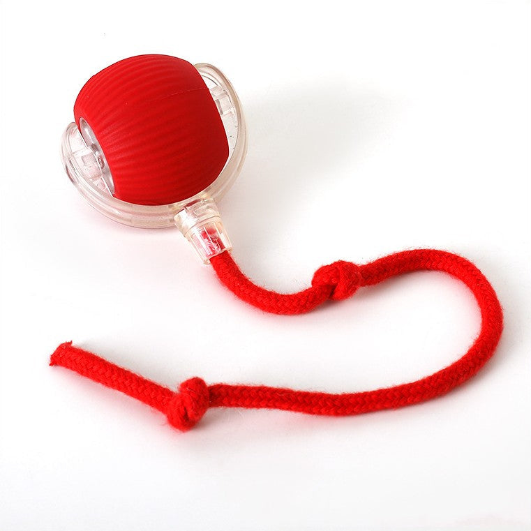 Interactieve Jachtbal voor Katten - PouncePal