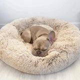 DreamPaws - Daisy Kalmerend Bed Vermindert angst Beter slapen