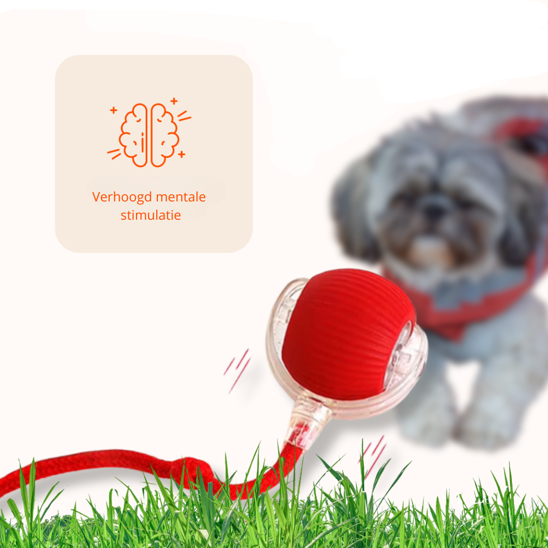 ZoomBall - Interactieve Hondenspeelbal