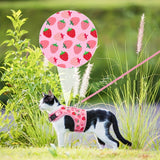 KittyComfort Harnas Set - Voor Gezellige Wandelingen en Avontuur