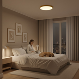 RingLuxe | Plafondlamp – Zacht LED-licht voor een harmonieuze sfeer