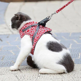 KittyComfort | Vliegtuigveilige kattenharnas-set