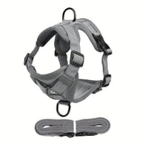 Reflecterend Kattenharnas en Riemset – Ideaal voor Wandelen en Training