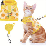 KittyComfort Harnas Set - Voor Gezellige Wandelingen en Avontuur
