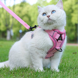 Reflecterend Kattenharnas en Riemset – Ideaal voor Wandelen en Training