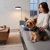 BarkEase | Zacht Trainingshalsband voor Kleine Honden