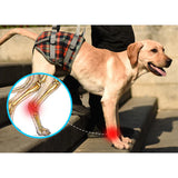 Orthopedisch harnas voor achterpoten