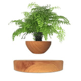 Zwevende plantenhouder met magnetische levitatie - Liva