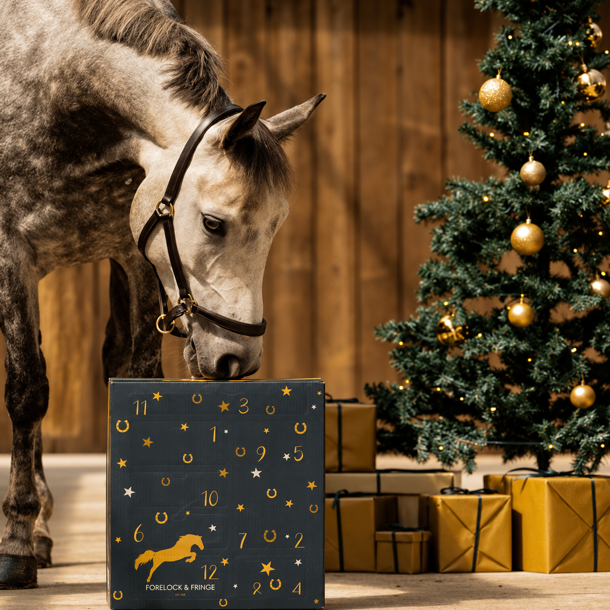 Paarden Adventskalender 2026