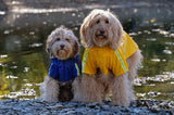 PupJoy - Reflecterende Hondenregenjas + Capuchon - Veilige Nachtwandeling