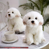 Zachte Knuffelbare Pluche Honden Speelgoed - Schattige Gevulde Teddybeer, Perfect Puppykado voor Kinderen
