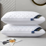 Slaapcomfort Set - 2 Hypoallergene 3D Kussens voor Hotelkwaliteit Slaap