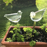 Zelfbewaterende Glazen Vogels