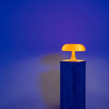 FungiLight - Lamp met Paddenstoellicht