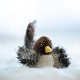 Interactief Katten Speelgoed - ChirpBird