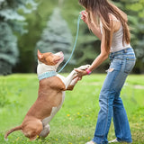 Verstelbare Spiked Hondenhalsband - Sterk en Veilig voor Grote Honden
