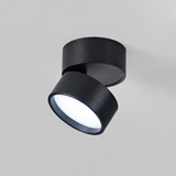 Moderne verstelbare LED plafondlamp