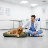 PetLounge | Hondenbed – Ergonomisch Ontwerp voor Gezonde Slaap