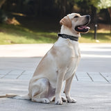 Verstelbare Spiked Hondenhalsband - Sterk en Veilig voor Grote Honden