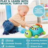 Interactieve Schildpad Speelgoed – Voor Leren en Spelen in Één