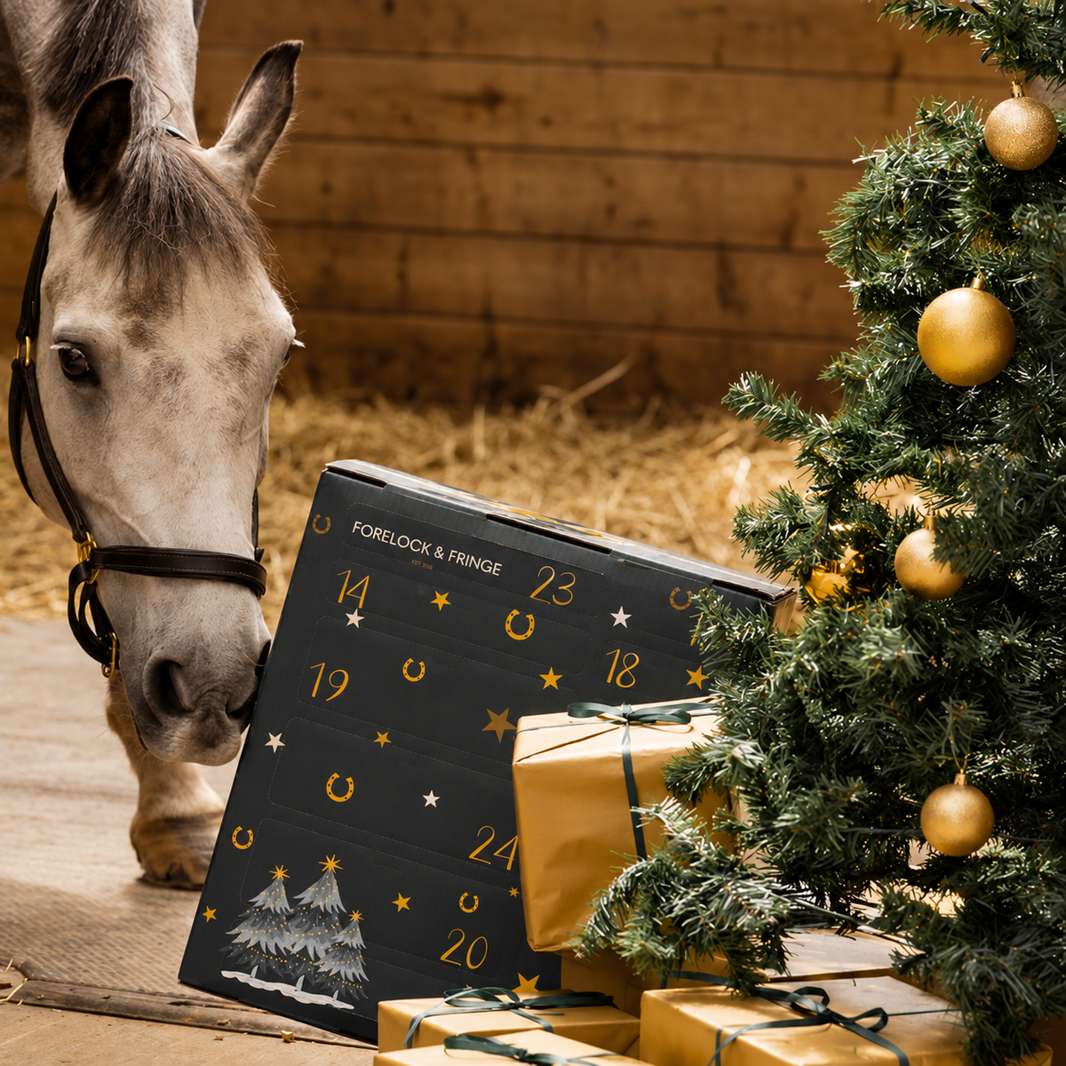 Paarden Adventskalender 2026