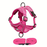 Reflecterend Kattenharnas en Riemset – Ideaal voor Wandelen en Training