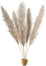 Bohemian Pampas Pluimen - Stijlvolle Natuurlijke Decoratie