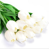 Set van 10 Kunstmatige Witte Tulpen – Perfect voor Bruiloften, Fotografie en Interieurdecoratie